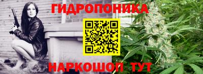 эйфоретик Бузулук