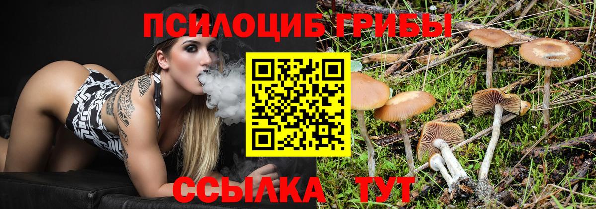Галлюциногенные грибы мицелий  Вход с VPN  Таганрог  Псилоцибиновые грибы MAGIC MUSHROOMS 